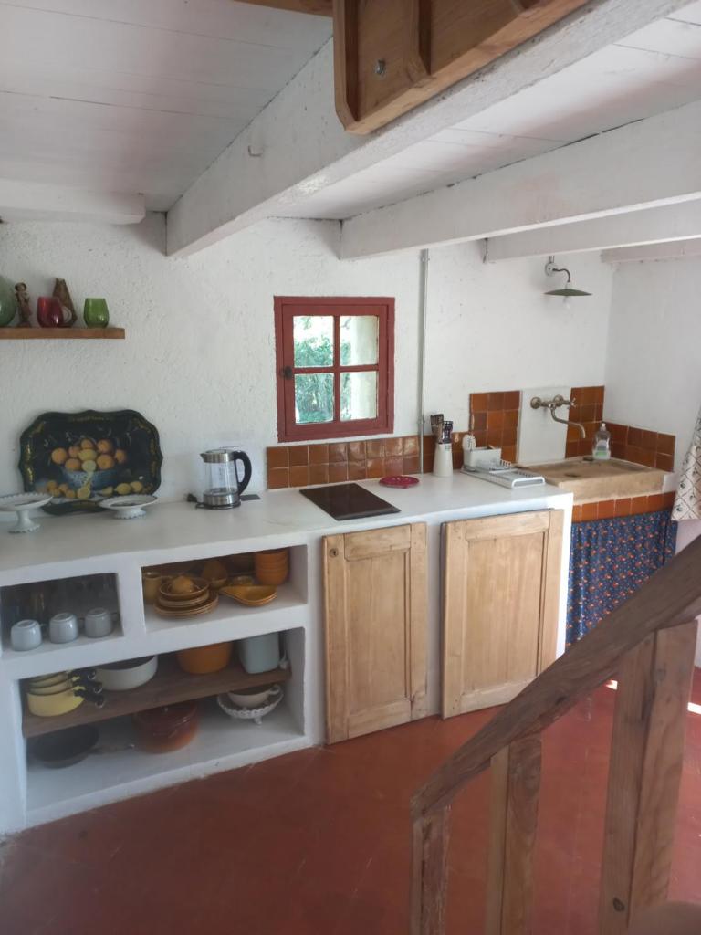 Un cabanon en Provence 8