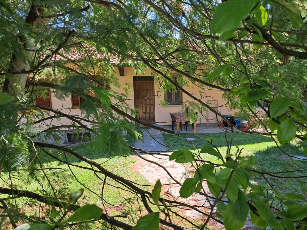 Il NOCCIOLINO , 2 appartamenti 6
