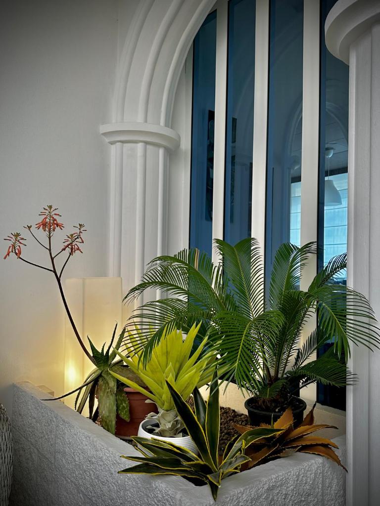 un bouquet de plantes assis sur un balcon dans l'établissement Hotel La Parigina, à Lignano Sabbiadoro