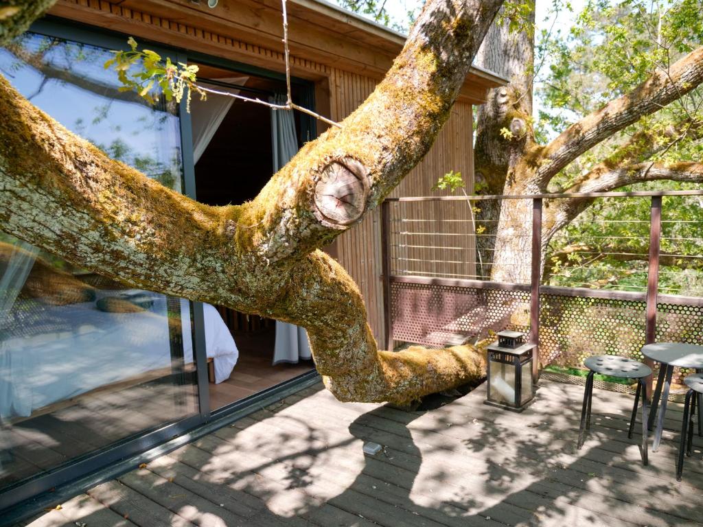 un arbre qui s'enroule autour d'une maison dans l'établissement Cabane perchée - lac privé, spa & nature, à Sadirac