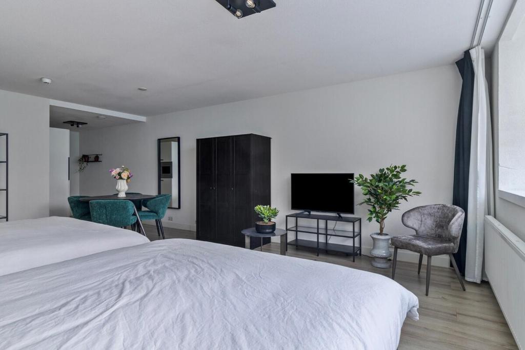 Central and light apartment 5