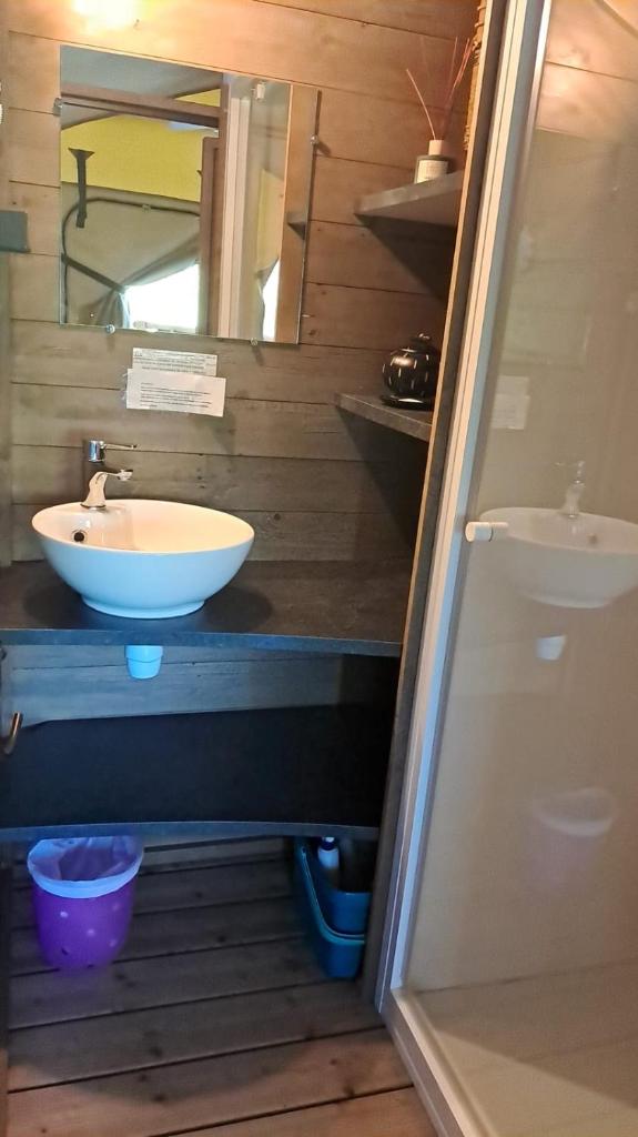 une salle de bain avec un lavabo et un miroir dans l'établissement O'PHIL DE LAU, à Manciet