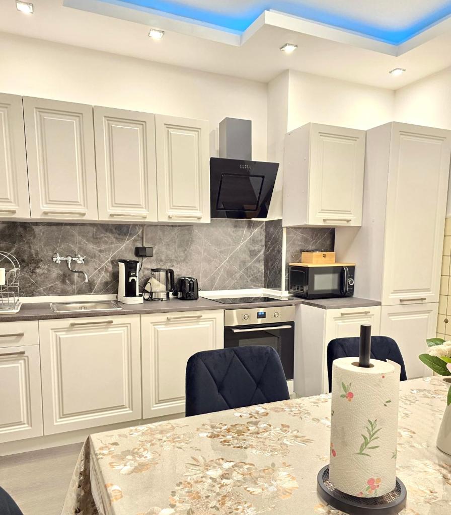 City Stay Apartment - renoviert & klimatisiert 8