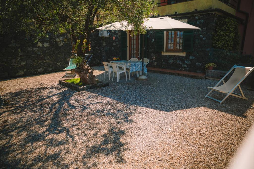 L'ulivo - Nature & Relax 3