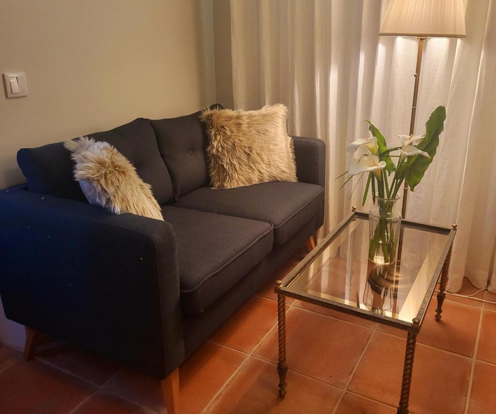 Casinha Antiga Historical Townhouse 3