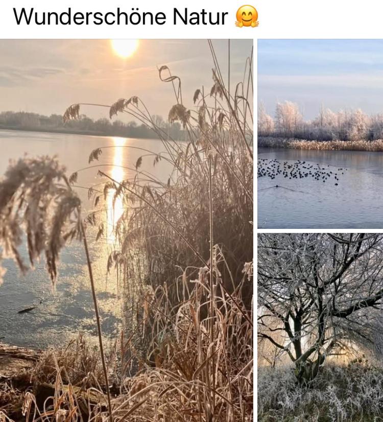 Ferienhaus im Gänseried 7