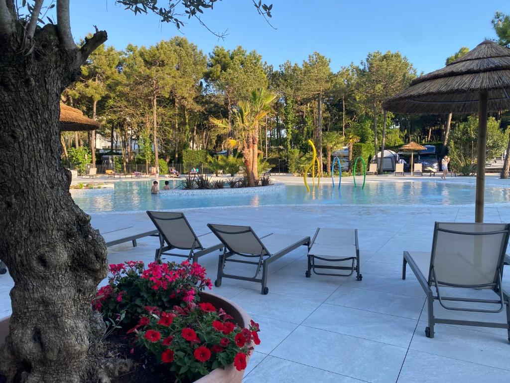 - une piscine dans un complexe avec des chaises et des fleurs dans l'établissement Dune Dependance, à Bibione