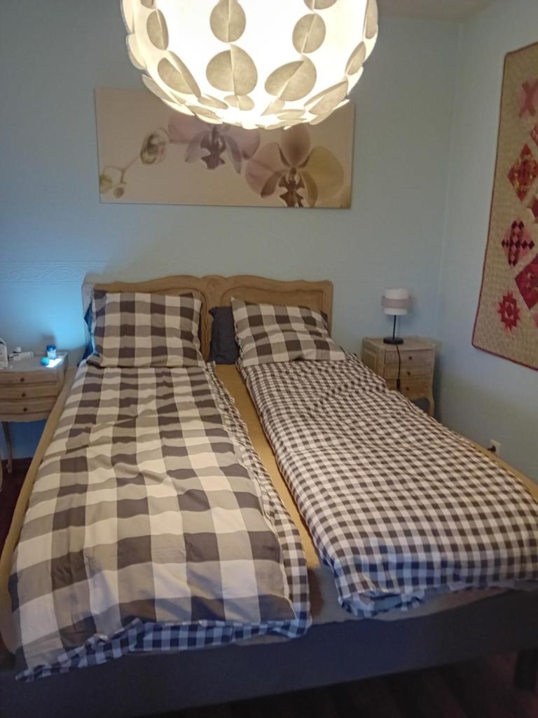 Maison plein pied blaesheim chien accepté 2