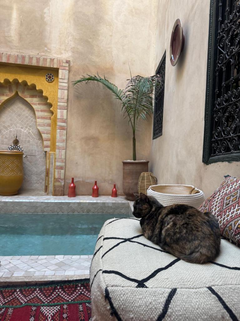 Photo de la galerie de l'établissement Riad Paquerette, à Marrakech