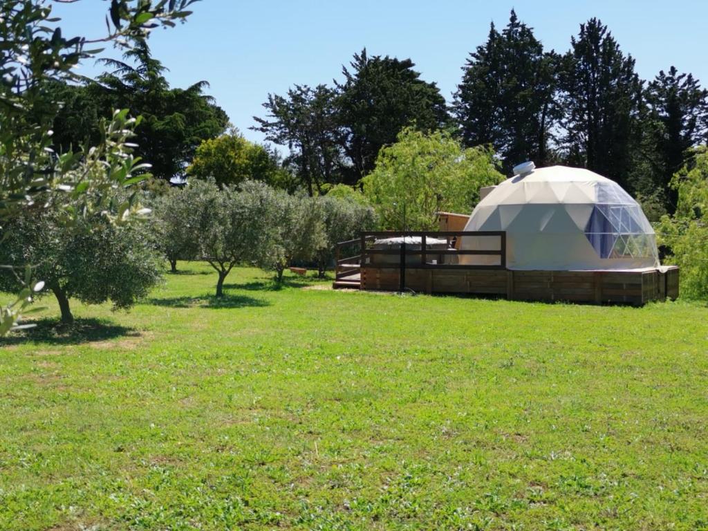 une grande tente en forme de dôme dans un champ d'herbe dans l'établissement Le Sicilien Dome et Spa privatif, à Saint-André-de-Roquelongue