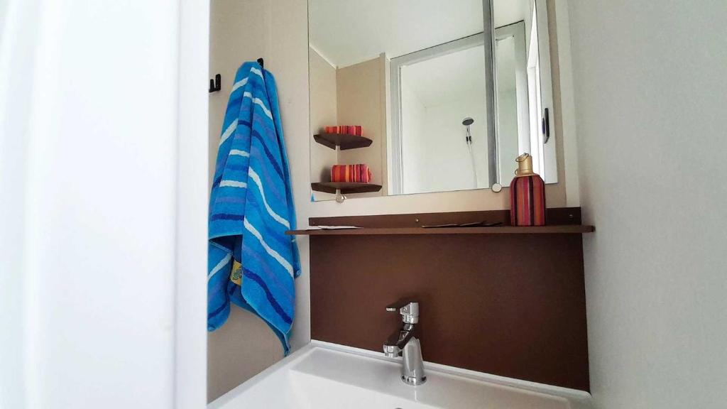 une salle de bain avec un lavabo et un miroir dans l'établissement Camping 4 étoiles - Parc aquatique - efacfc, à Hyères