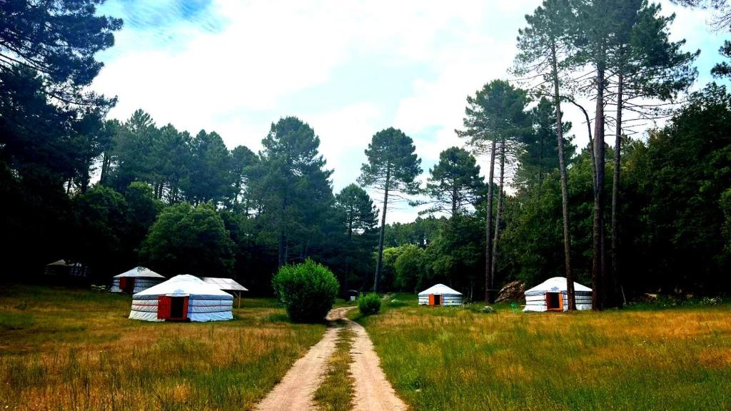un chemin de terre dans un champ de maisons et d'arbres dans l'établissement Yourtes Corse Le pré aux biches, à Zonza 6 autres photos