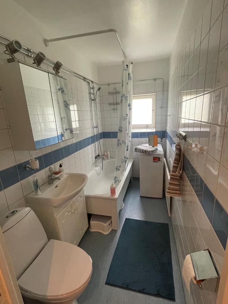 Newly renovated, spacious flat! 3