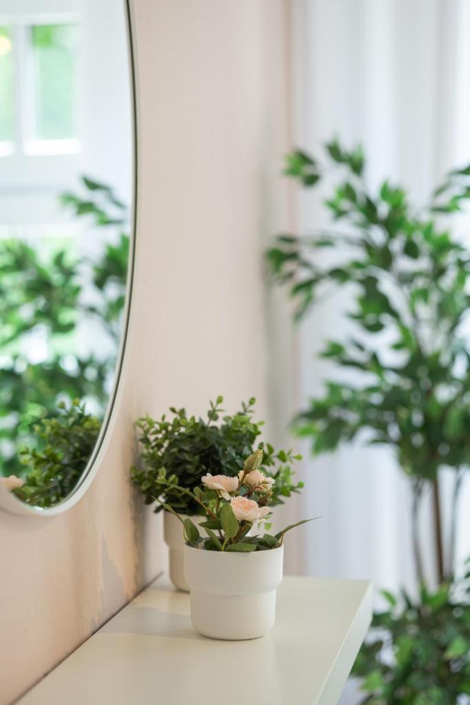 Luxury Vista Apartment I Küche I WLAN I Smart-TV I Zentral 6