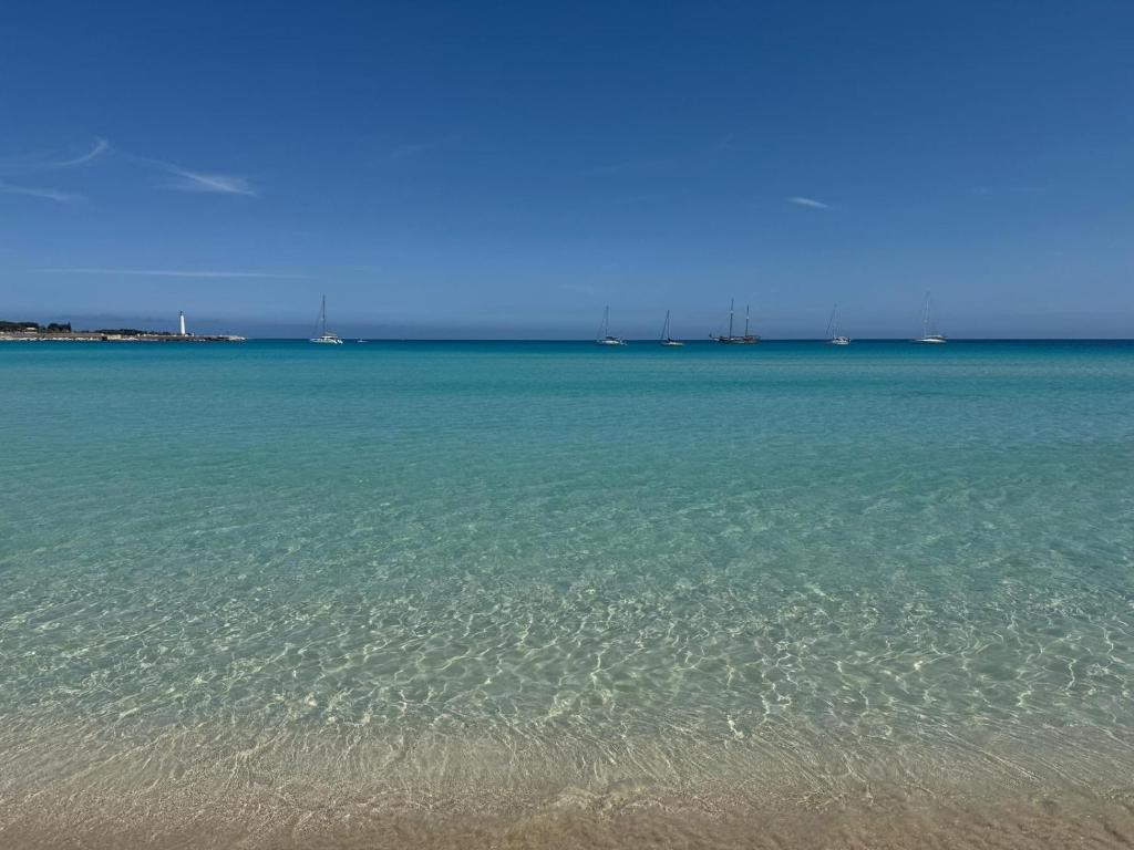 Carol's Sicily Dream