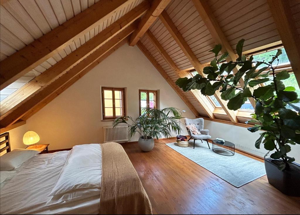 Winzerhaus am Elbhang 5