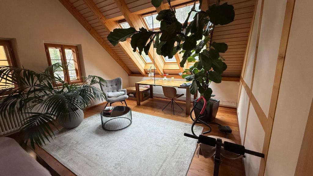 Winzerhaus am Elbhang 8