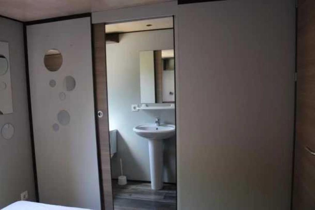 une salle de bain avec un lavabo et un miroir dans l'établissement Camping 3 étoiles - Piscine - eehgei, à Castelnau-Picampeau