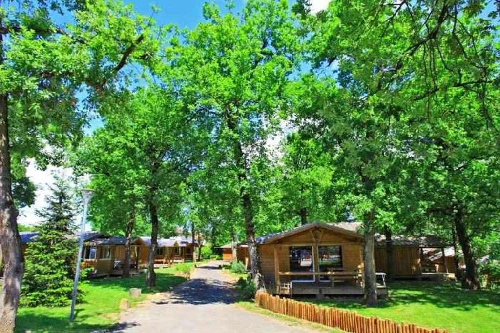 une cabane dans les bois avec des arbres et une allée dans l'établissement Chalet 4 étoiles - Piscine - ef0ccd, à Albi 6 autres photos