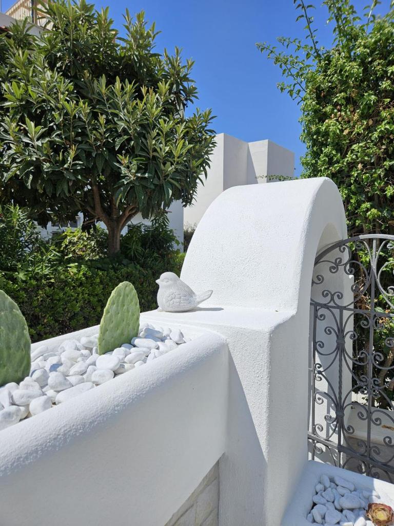 un oiseau assis sur un mur blanc avec des cactus dans l'établissement Villa Dafne, à Ischia 41 autres photos