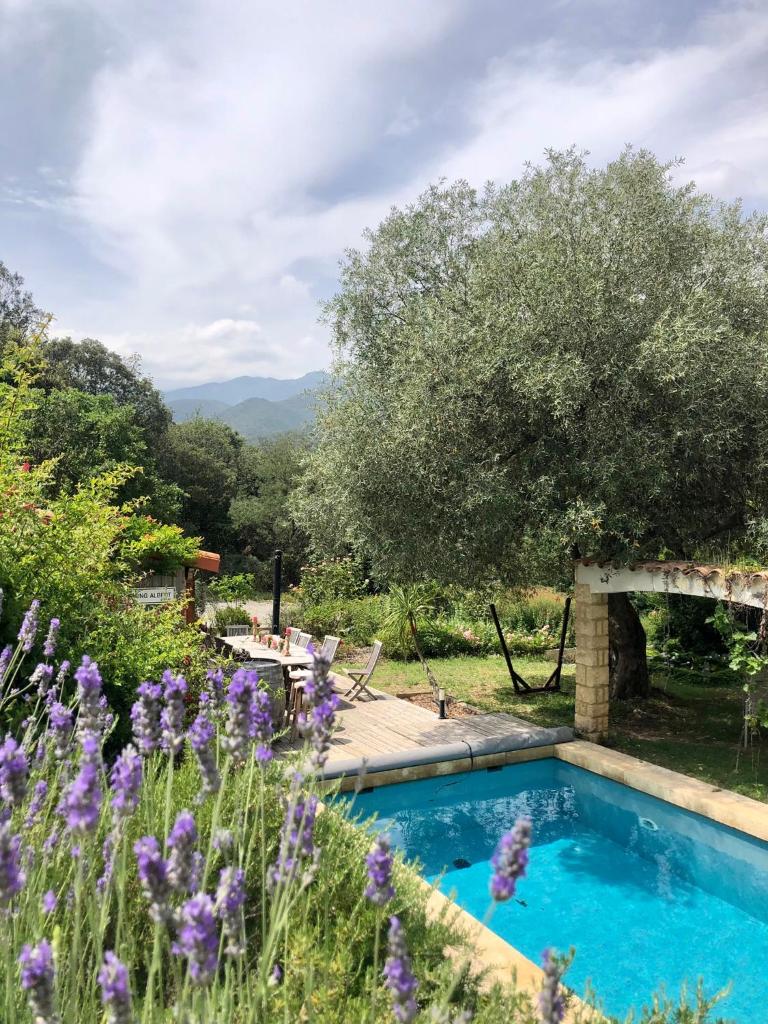 une piscine dans un jardin avec des fleurs violettes dans l'établissement glamping Bonheur, à Arles-sur-Tech