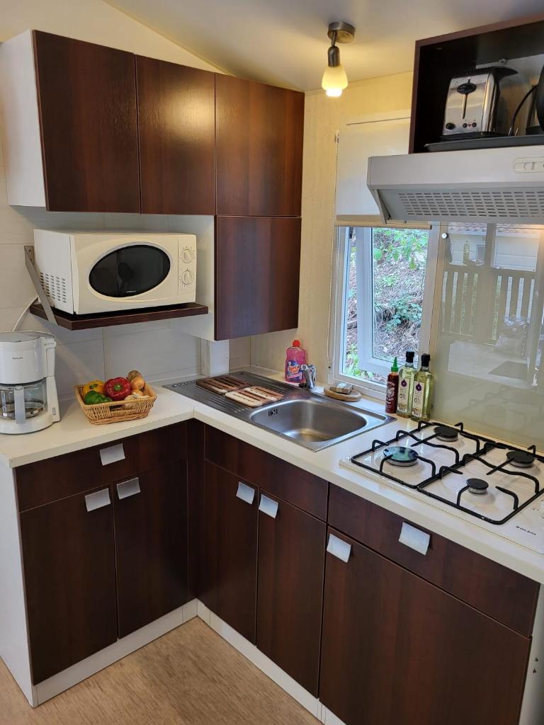 une cuisine avec un évier et un micro-ondes dans l'établissement Mobilehome Leï Suves Côte d'Azur, à Roquebrune-sur Argens 24 autres photos