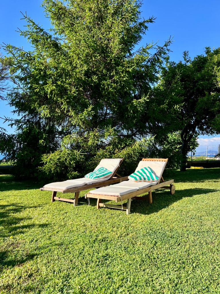 Villa Joyosa Apartments 5