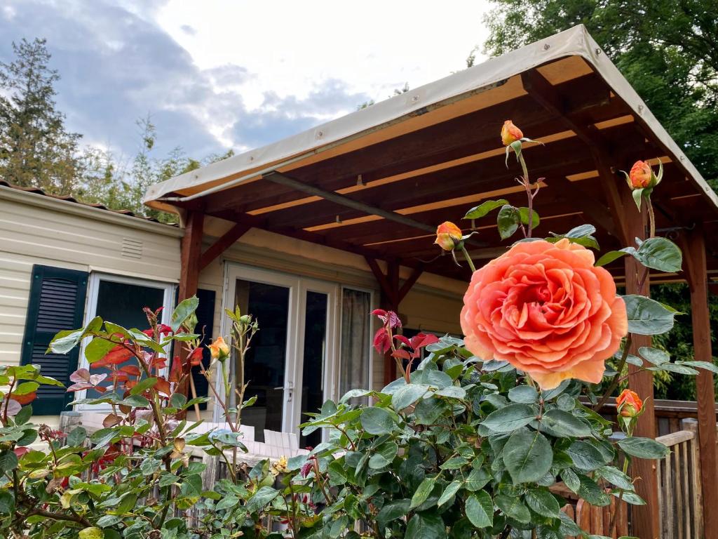 une fleur devant une maison avec un auvent dans l'établissement Camping les Avenières, à Manthes