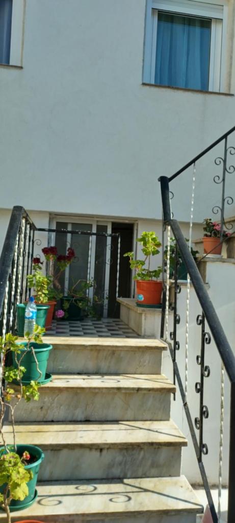 Daniela House 6