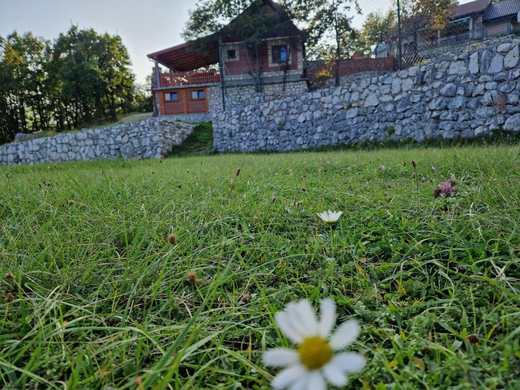 Mountain Village House 8