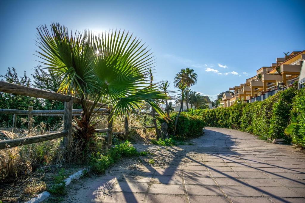 The Marbella Beachfront Gem 6
