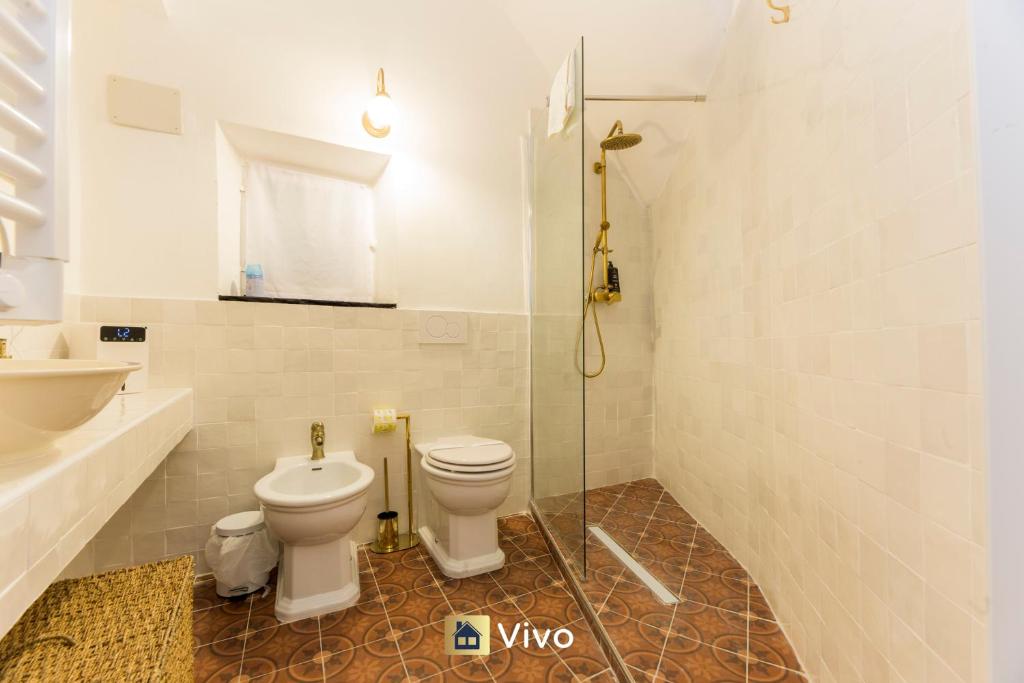 Vivo - Aquarium 3', AC, WIFI, City Center 5