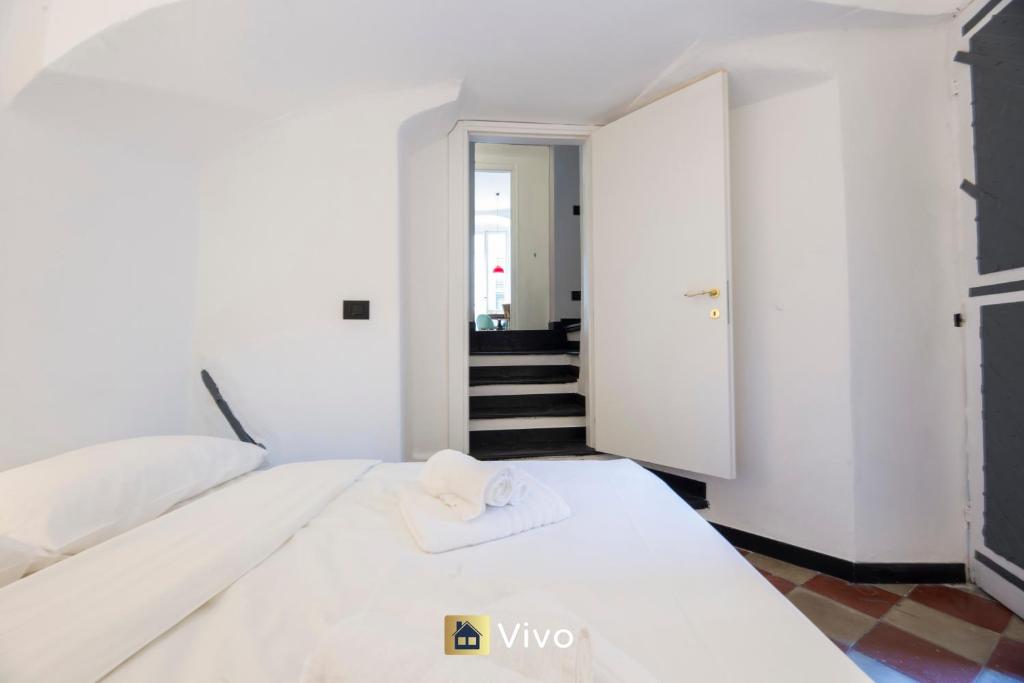 Vivo - Aquarium 3', AC, WIFI, City Center 7