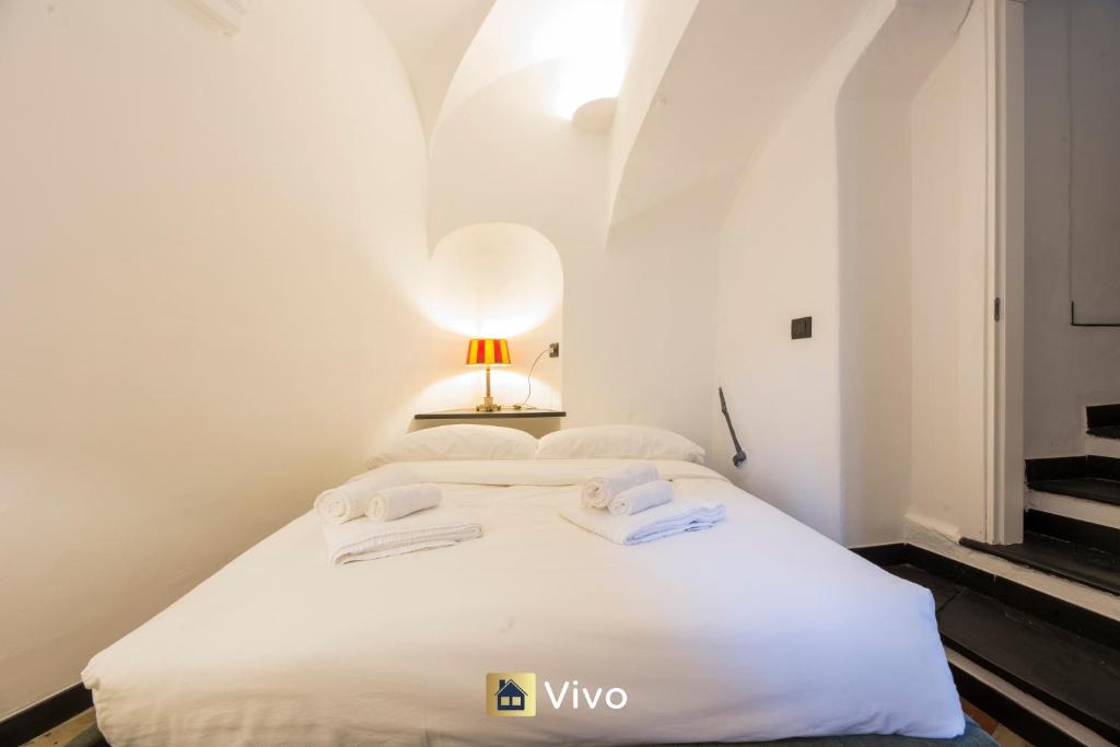 Vivo - Aquarium 3', AC, WIFI, City Center 8