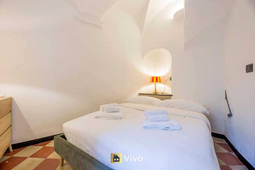 Vivo - Aquarium 3', AC, WIFI, City Center 6