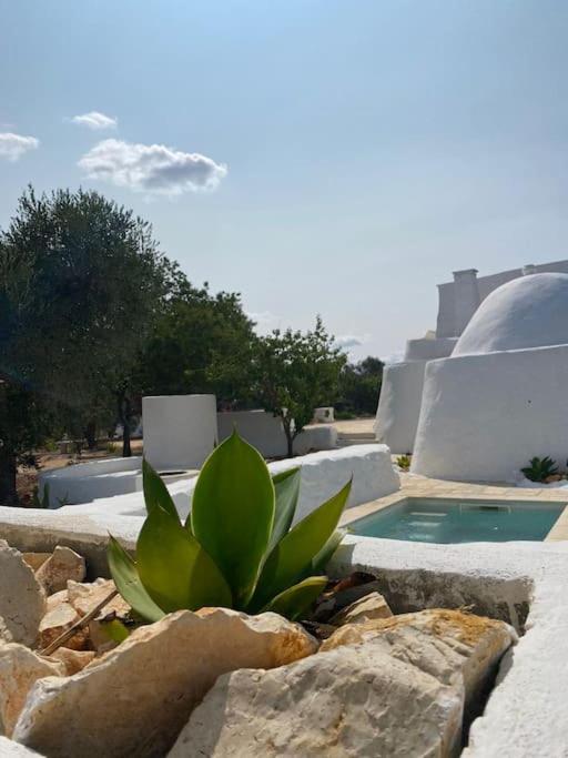 une plante succulente dans un jardin à côté d'une piscine dans l'établissement Casedda Mia a charming cottage with cozy private pool, à Carovigno