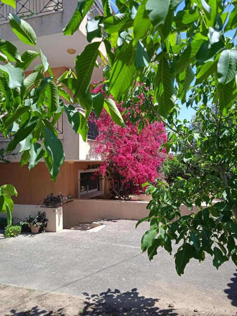 Paulina's Little House 6