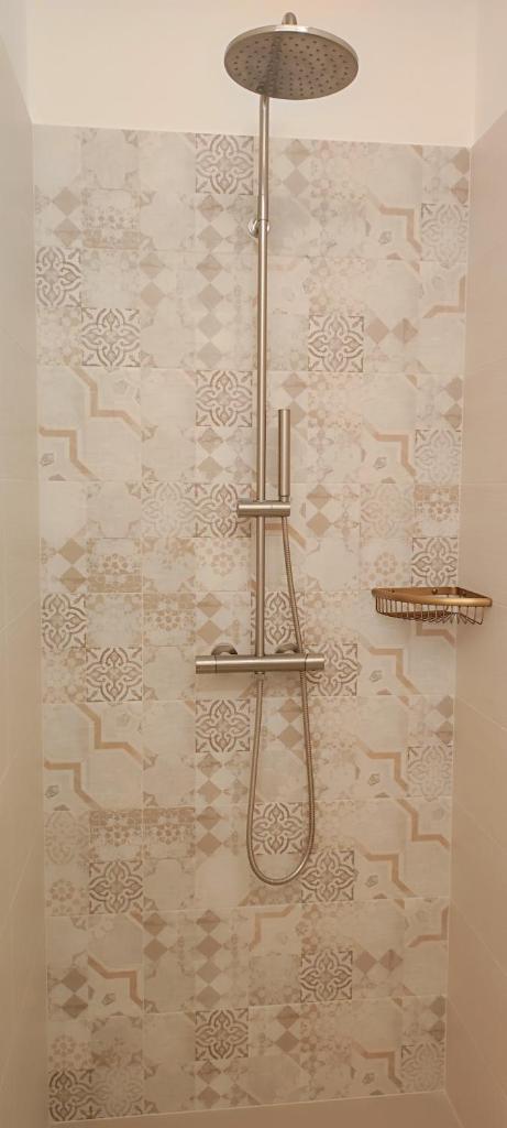 La salle de bains est pourvue d'une douche murale. dans l'établissement Antichi Saperi - Villa con piscina Cisternino, à Cisternino