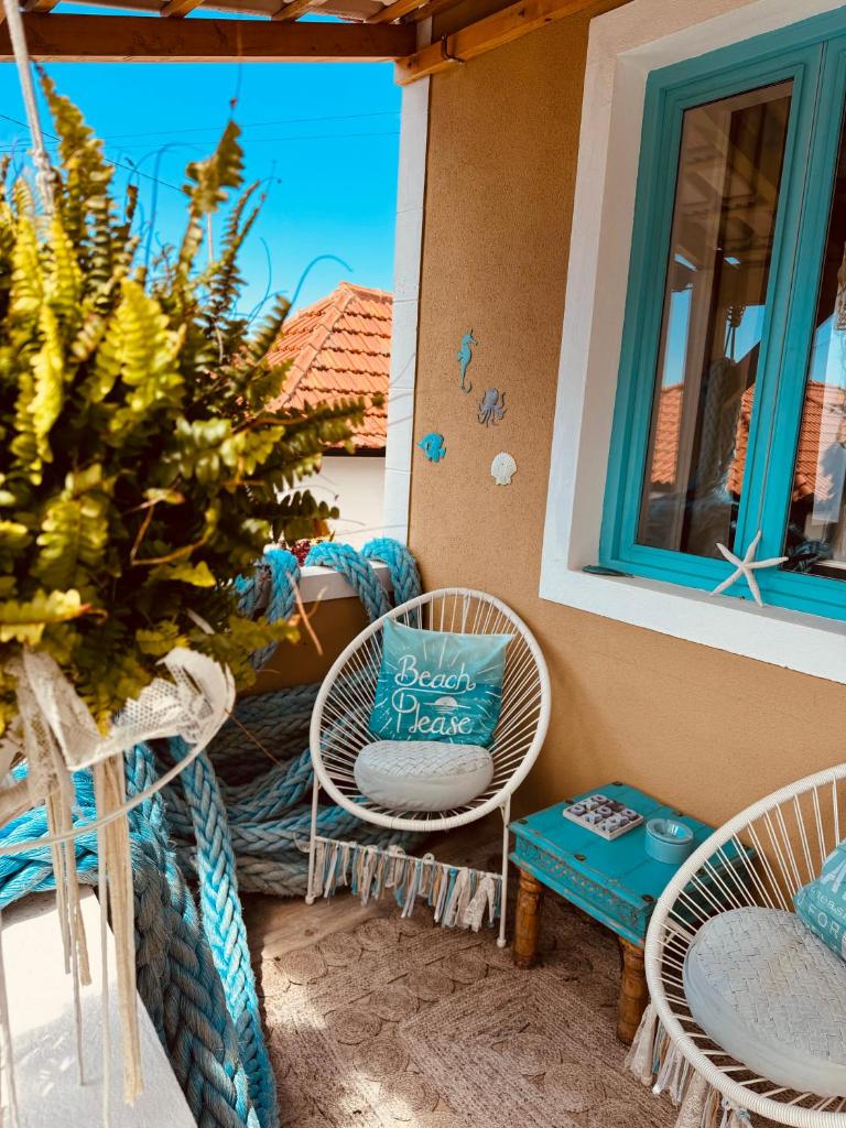 CASA BOHO your happy place in Calheta
