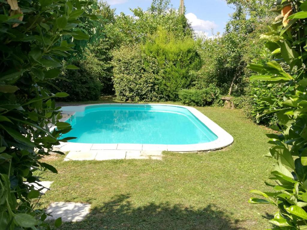 une piscine dans un jardin avec pelouse et arbres dans l'établissement Gîte calme au cœur de vignoble bio avec piscine, proche Azay-le-Rideau - FR-1-381-238, à Brizay