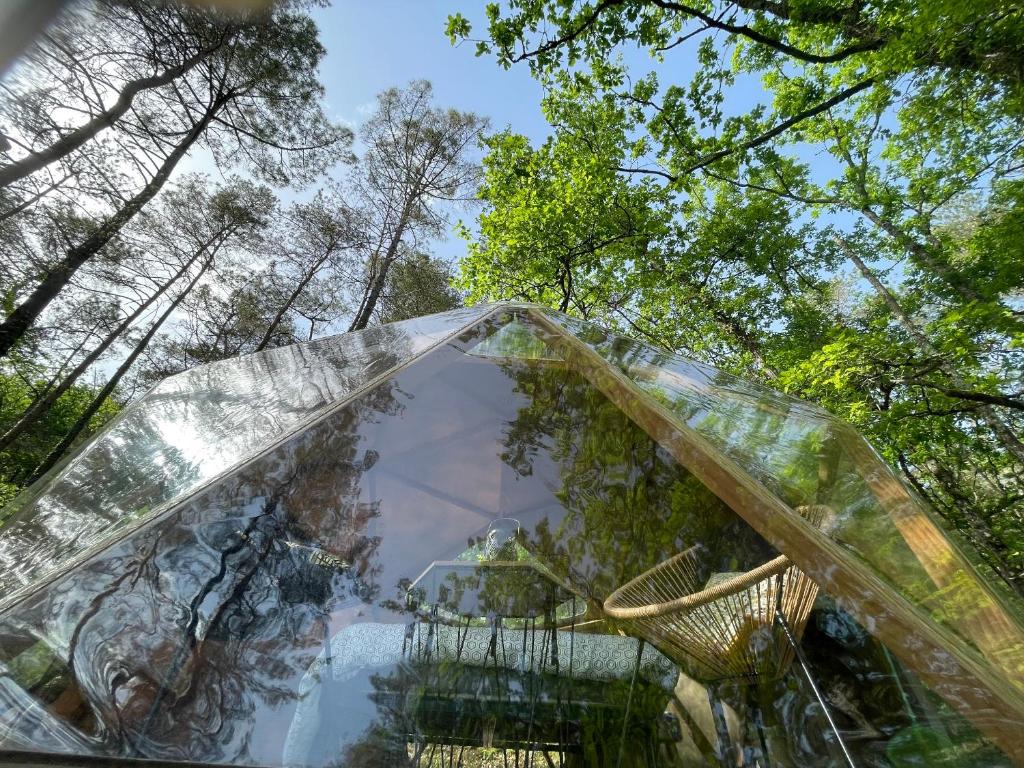 une tente en verre avec une table et une chaise dans l'établissement Arborea, nuits insolites au cœur de la forêt, à Montignac