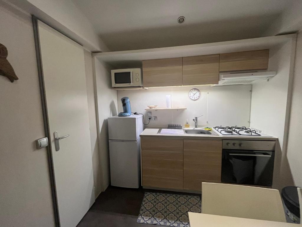 une petite cuisine avec un évier et un réfrigérateur dans l'établissement Mobil home, à Sainte-Croix-de-Verdon