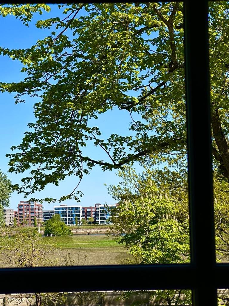 Schön gelegene und gemütliche Ferienwohnung am Weserufer 6