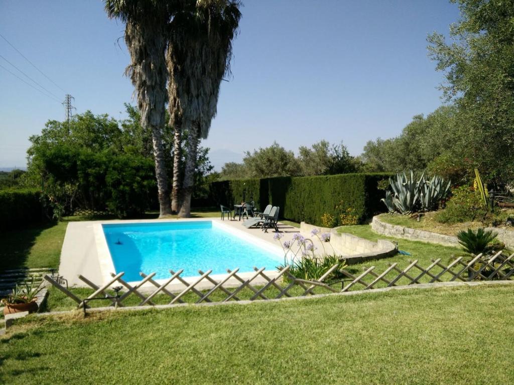 une piscine dans une cour avec un palmier dans l'établissement Mamma Arancia, à Pedagaggi