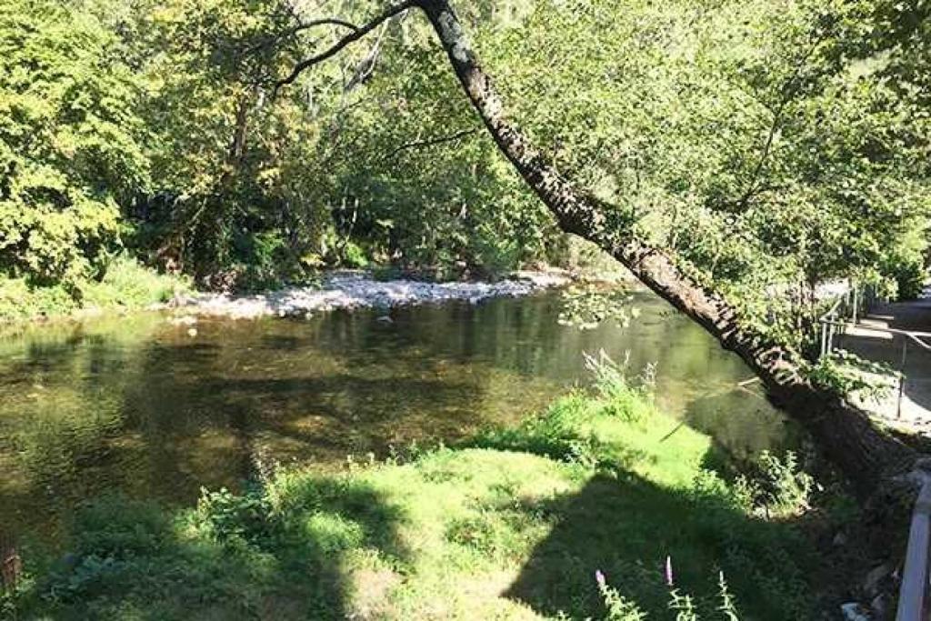 Photo de la galerie de l'établissement Camping 4 étoiles - Piscine - ccb0eab, à La Colle-sur-Loup