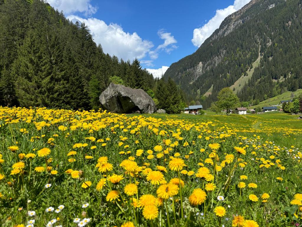 Casa Romantica - ein Alpiner Traum 5