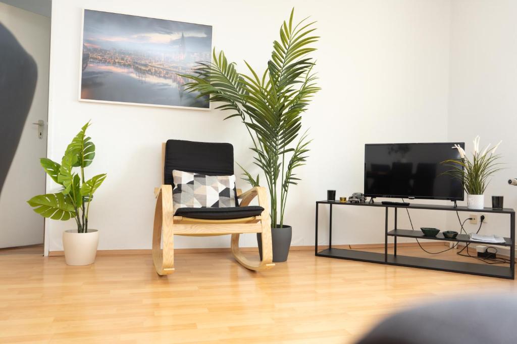Bremen - 2 bedrooms - balcony - kitchen 8