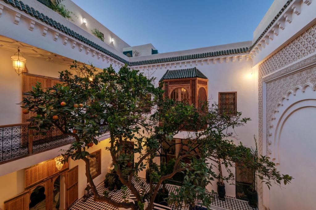une chambre avec un arbre au milieu dans l'établissement Riad Botanica, à Marrakech