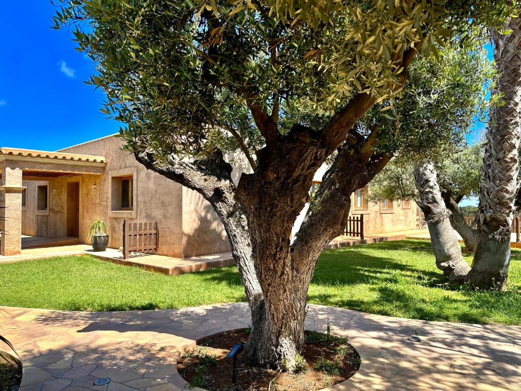 Agroturismo Sa Marina - Adults Only 2