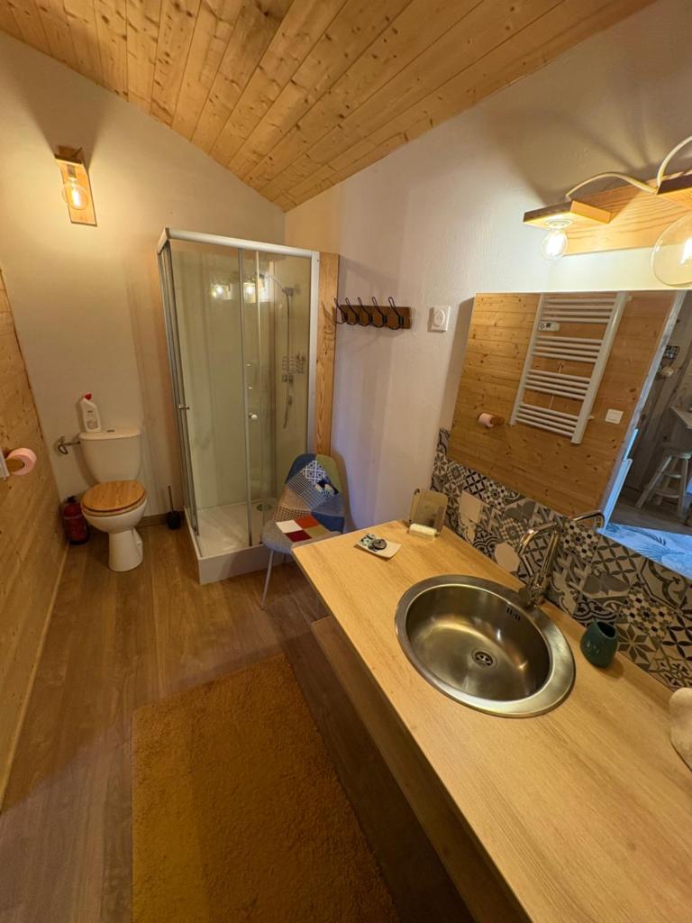 La salle de bains est pourvue d'un lavabo, d'une douche et de toilettes. dans l'établissement Chalet grenouille Domaine de la Mamounette, à Champclause